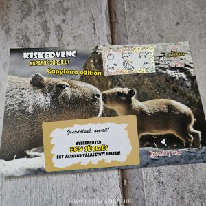kapibara-manias-mania-capybara-ajandek-otlet-kreativ-egyedi-vizidiszno