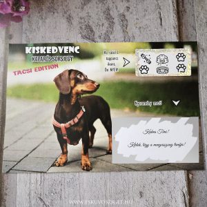 tacsko-manias-mania-tacsi-ajandek-otlet-kreativ-egyedi
