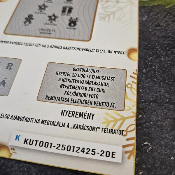 ajandek-kutya-meglepetes-otlet-vicces-kaparos-sorsjegy-boldog-karacsonyt